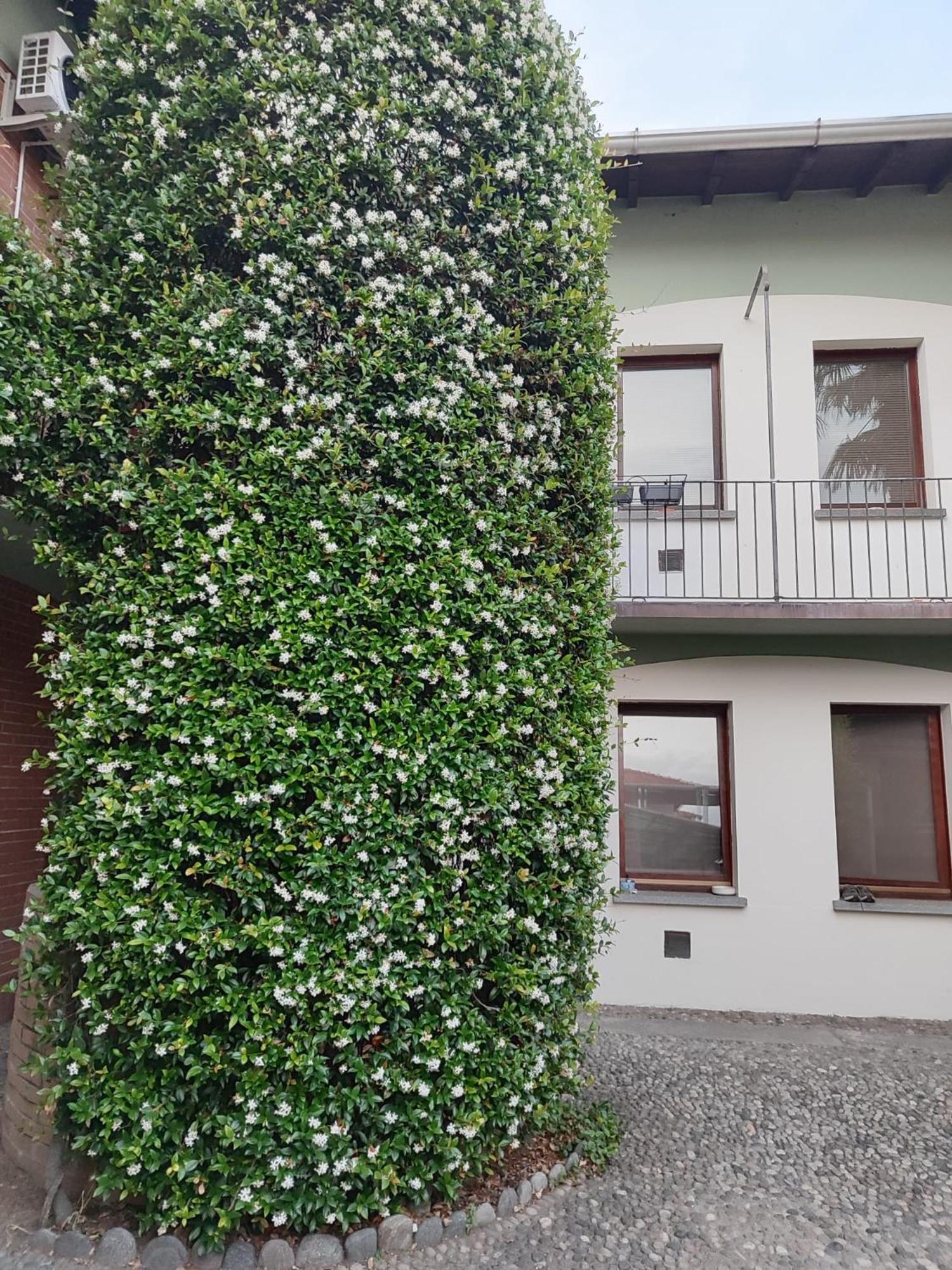 Casa Vacanza Il Gelsomino Somma Lombardo Esterno foto